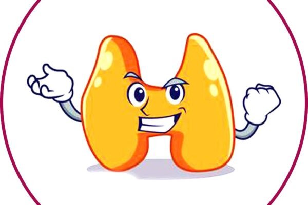 थायरॉईड  (Thyroid )